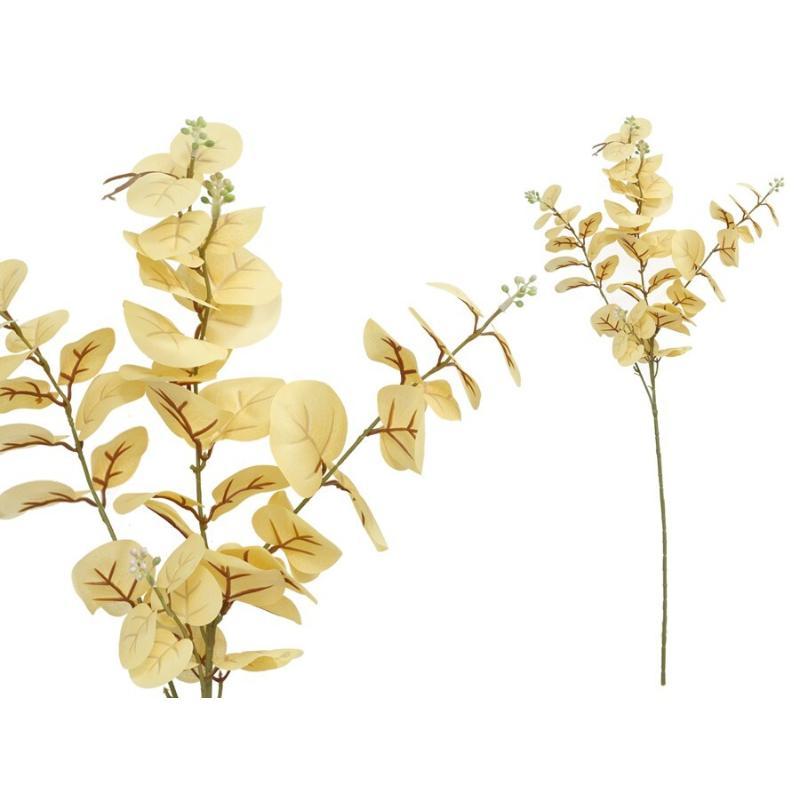 VARA EUCALIPTO C/BAYAS X 3-80 CM CREMA
