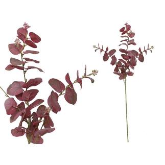 VARA EUCALIPTO C/BAYAS X 3-80 CM BURDEOS
