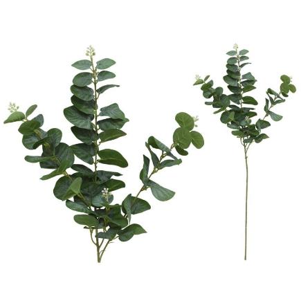 VARA EUCALIPTO C/BAYAS X 3-80 CM VERDE
