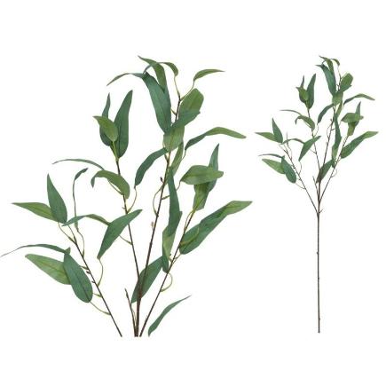 VARA EUCALIPTO X 4-93 CM VERDE/CL