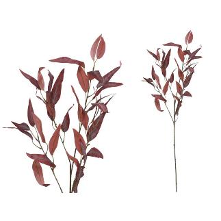 VARA EUCALIPTO X 4-93 CM BURDEOS