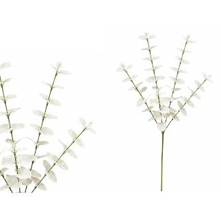 VARA EUCALIPTO X 5- 88 CM BLANCO