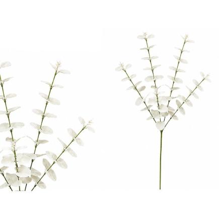 VARA EUCALIPTO X 5- 88 CM BLANCO