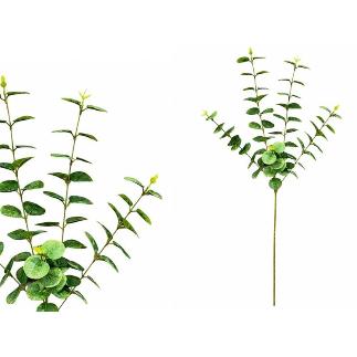 VARA EUCALIPTO X 5- 88 CM VERDE/CL