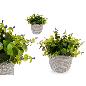 PLANTA VERDE FLOR LILA CON MACETA GRIS
