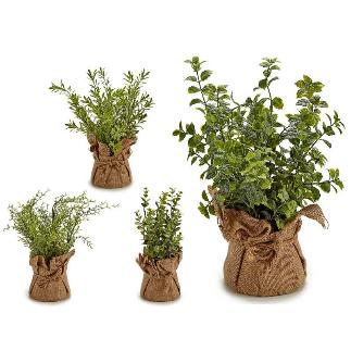 PLANTA RAMAS SACO BLANCA SURT 4