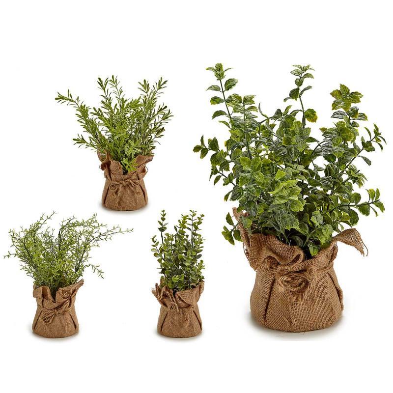PLANTA RAMAS SACO BLANCA SURT 4