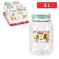 BOTE BOSTON 3 L PET SURT VRM