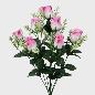 RAMO CAPULLO X9 ROSA
