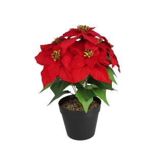 MACETA POINSETTIA X 7-40 CM ROJA