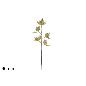 FLORES BRILLANTES COLOR ORO, TALLO DE 60 CM