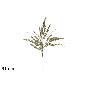 TALLO VARA GLITTER ORO 61 CM