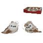 BUHO 2 STD 12 CM ONIRAS