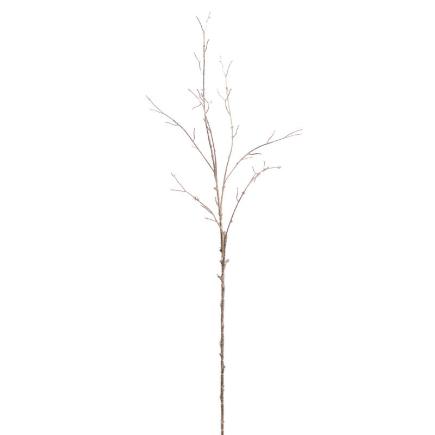 RAMA TWIG ORO