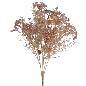 RAMO ACHILEA COBRE