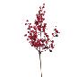 BERRY 50 CM ROJO