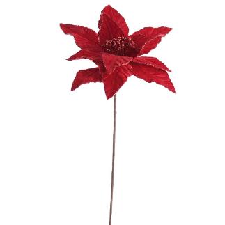 POINSETTIA VELVET ROJO