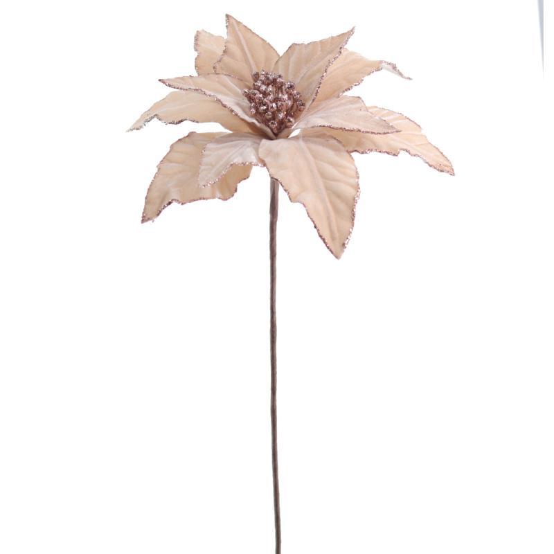 POINSETTIA VELVET BEIGE
