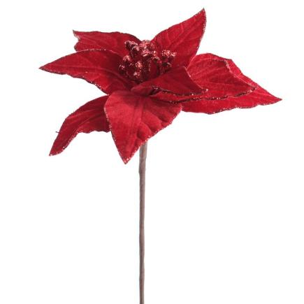 POINSETTIA VELVET ROJO