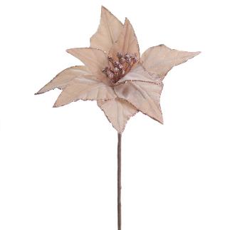 POINSETTIA VELVET BEIGE