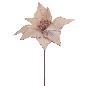 POINSETTIA VELVET BEIGE