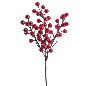 PICK BERRY ROJO