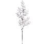 BERRY 75 CM PERLA