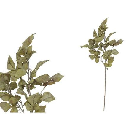 VARA MAPLE X4-80 CM VERDE CL