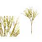 VARA GRASS 127 CM AMARILLO
