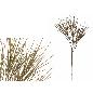 VARA GRASS 127 CM VERDE