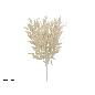 RAMO HOJAS RUSCUS X5 -55 CM BEIGE