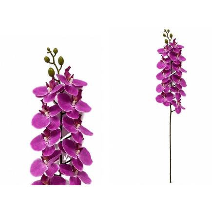 VARA ORQUIDEA X 11 R/TOUCH 93 CM VT