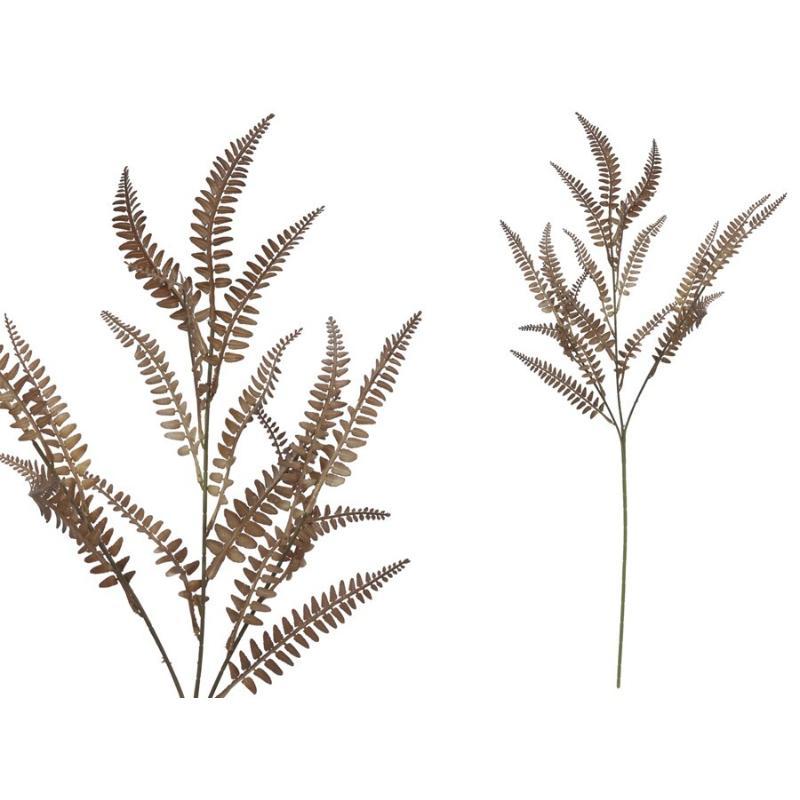 VARA HELECHO X18-80 CM MARRON