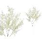 VARA FERN MIX X25-77 CM BLANCO