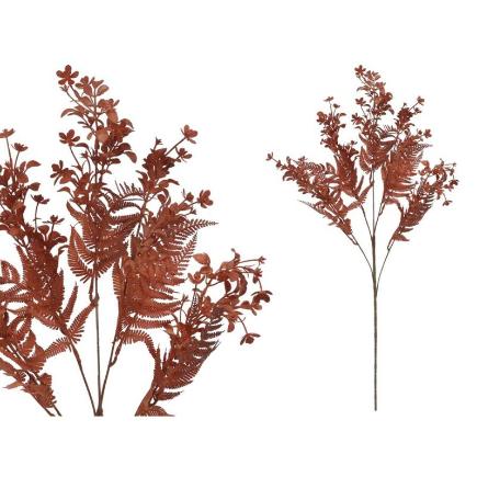 VARA FERN MIX X25-77 CM TE