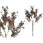 VARA FERN MIX X25-77 CM MARRON