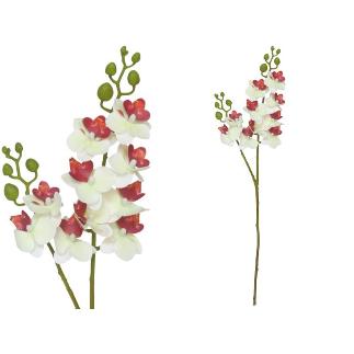 VARA ORQUIDEA X10 R/TOUCH-63 CM CREMA