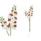 VARA ORQUIDEA X10 R/TOUCH-63 CM CREMA