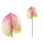 VARA ANTHURIUM 3D PRINTED 60 CM ROSA