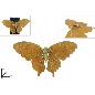 MARIPOSA 17 CM CON PINZA DORADA TERCIOPELO PURPURINA CHAMPAGNE