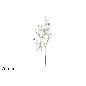 TALLO DE 75 CM CON 2 MARIPOSAS CON EFECTO TERCIOPELO BLANCO BRILLANT