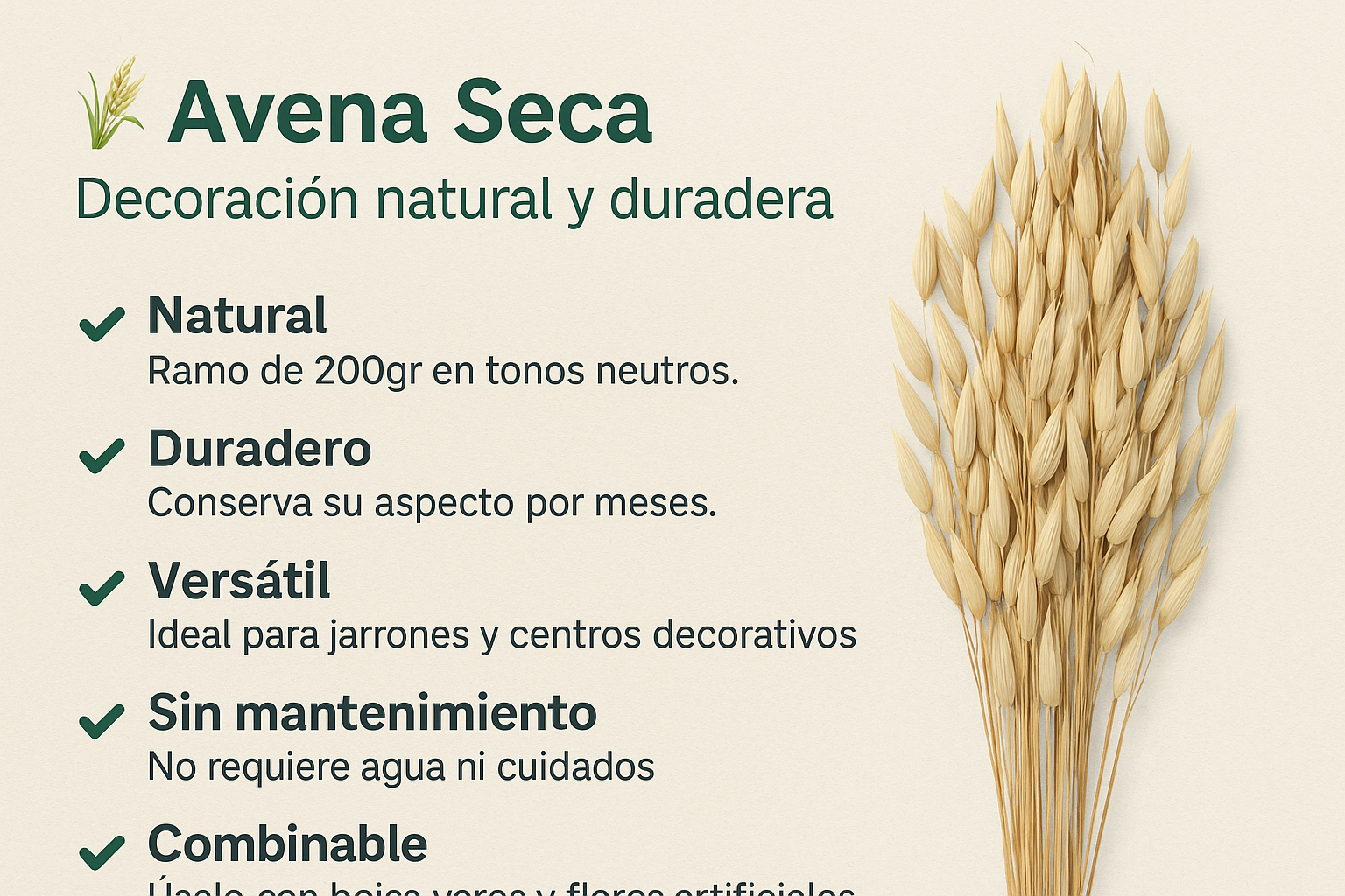 Avena Seca 200gr (60-65h cm)
