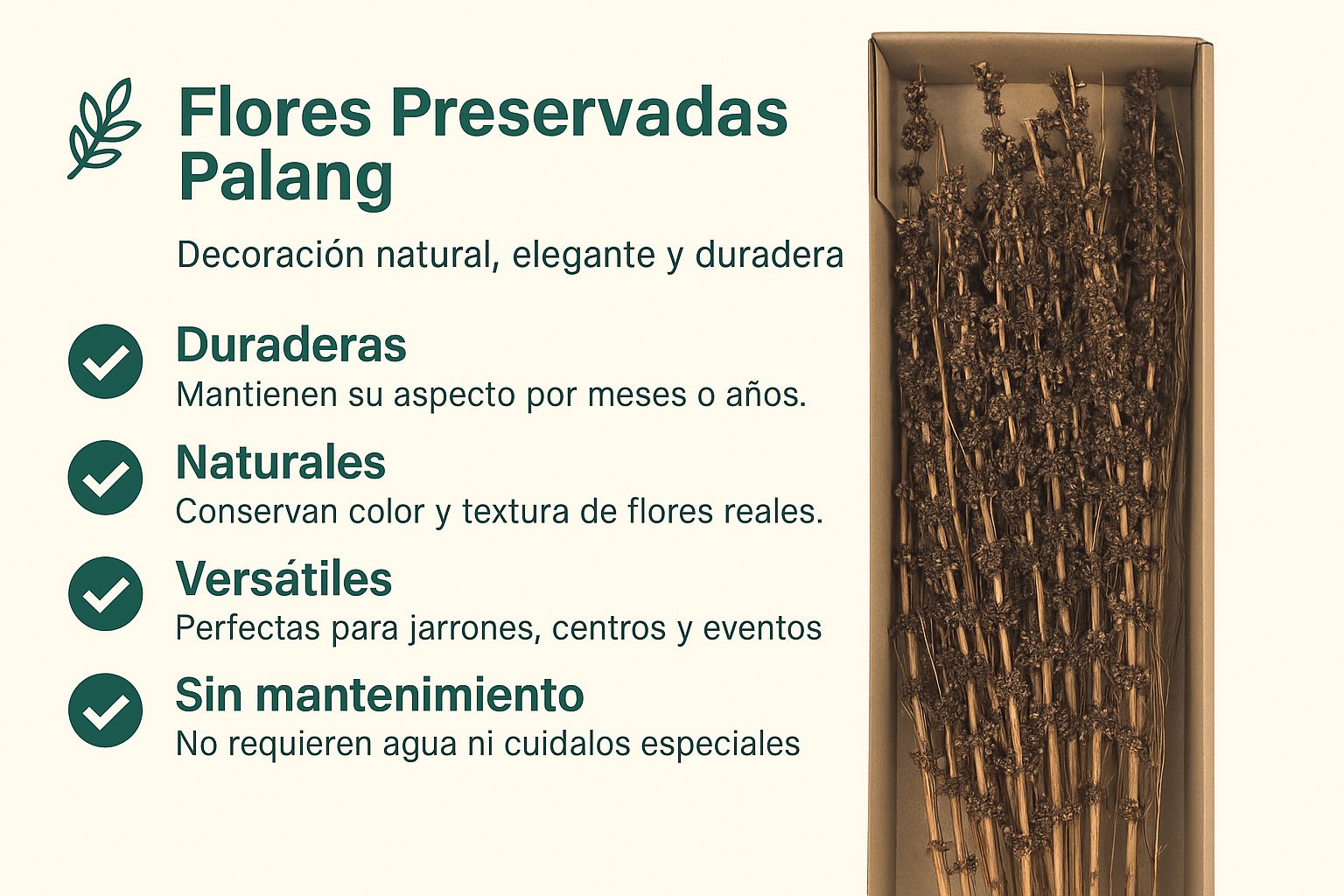 Conjunto de Flores Preservadas Palang 60 cm