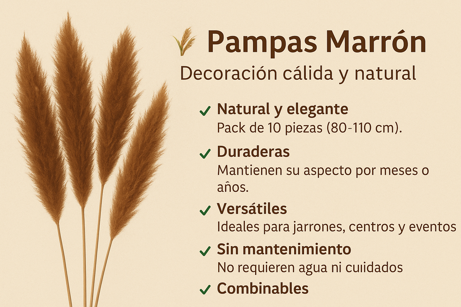 Pampas Marrón 10 pcs (80-110h cm)