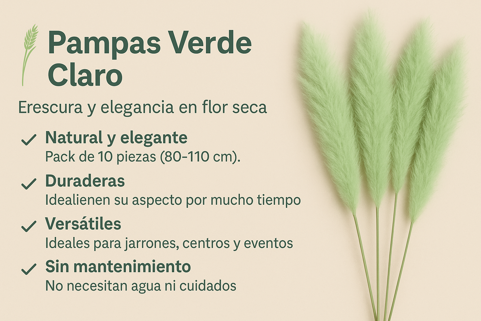 Pampas Verde Claro 10 pcs (80-110h cm)