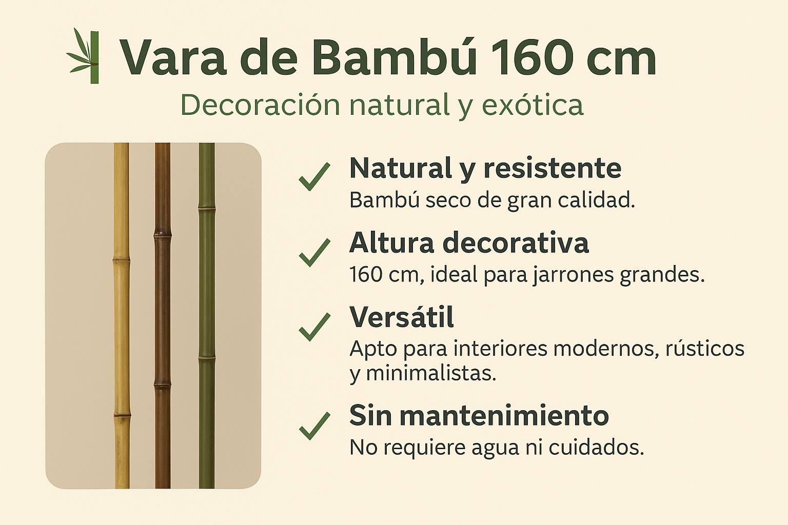 Vara de Bambú 160 cm (surtidos)